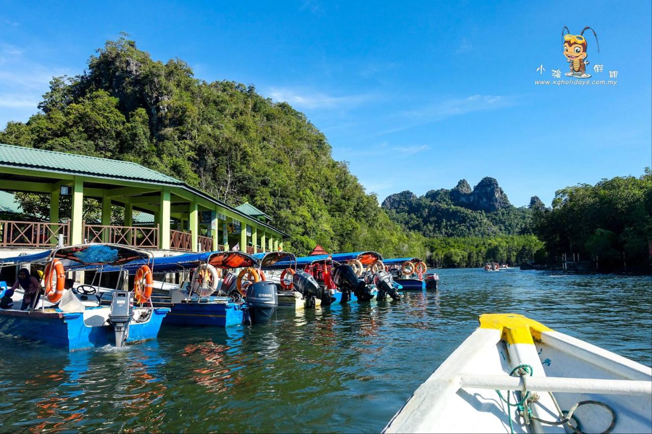 Jelajahi Hutan Bakau Langkawi yang Menakjubkan dengan Tur Mangrove